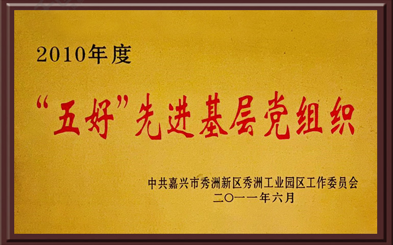 2010年度"五好"先进基层党组织